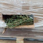 2 тона канабис са открити в камион на ГКПП Дунав мост-Видин