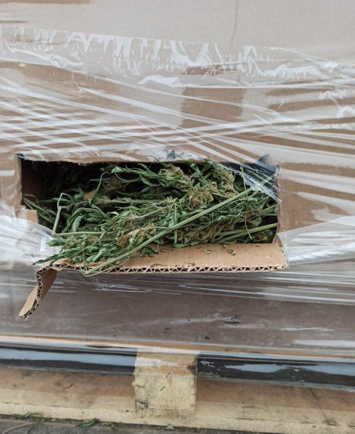 2 тона канабис са открити в камион на ГКПП Дунав мост-Видин