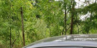 Глоби за неправилно паркиране. Снимка: Община Пловдив.