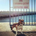 Зона с ограничен достъп