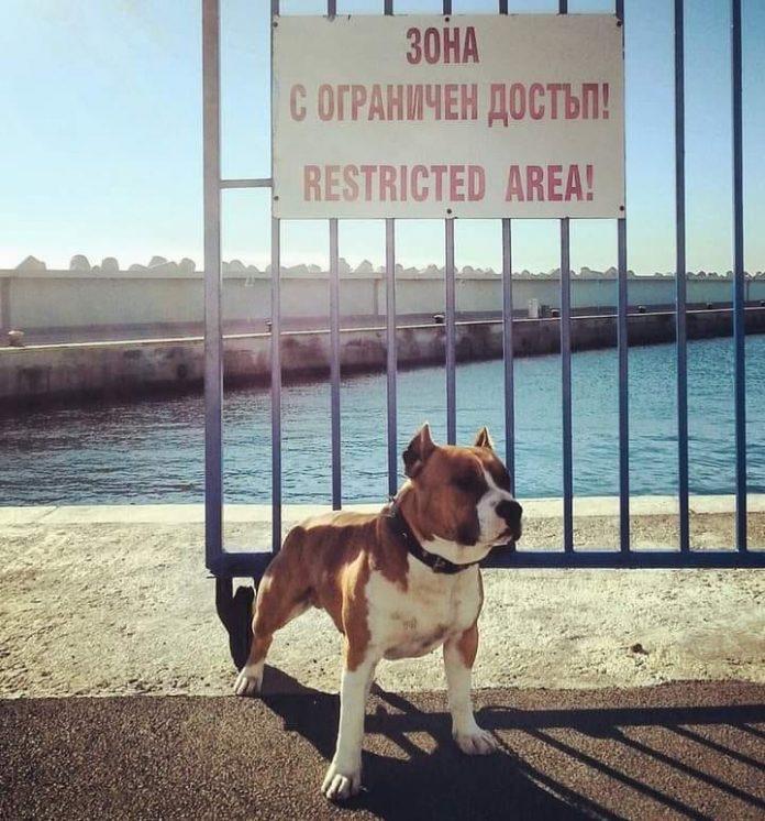 Зона с ограничен достъп