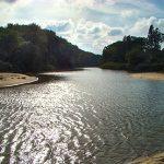 Резерват Камчия