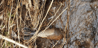 минохвъргачен изстрел