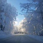 Снежна обстановка в "Петрохан"