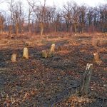 Сеч в Бургаско