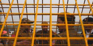 Охрана на стачка в Индия