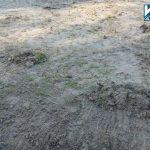 Почистване на тревата на плажа в парк "Росенец"