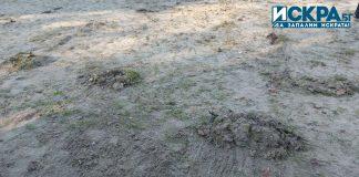 Почистване на тревата на плажа в парк "Росенец"