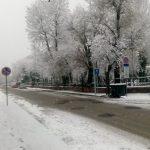 Почистване в Плевен