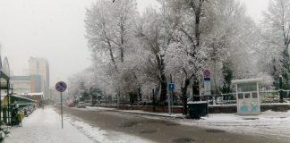 Почистване в Плевен