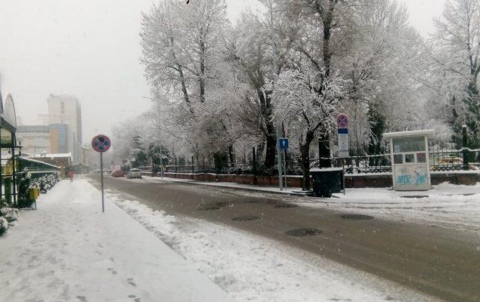 Почистване в Плевен