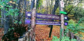 Природен парк "Витоша"