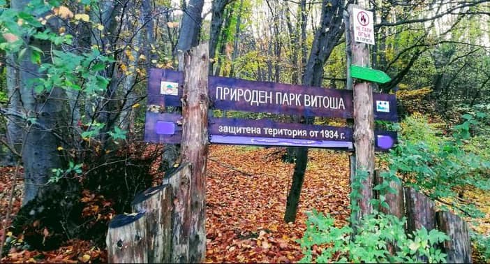 Министърът на туризма д р Илин Димитров се включи в работна