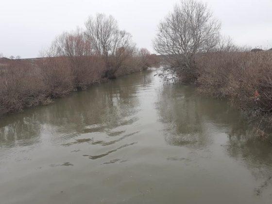 Река Тунджа при Тенево беше почистена - снимка 1
