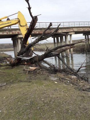 Река Тунджа при Тенево беше почистена - снимка 5