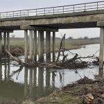 Река Тунджа при Тенево беше почистена - снимка 7