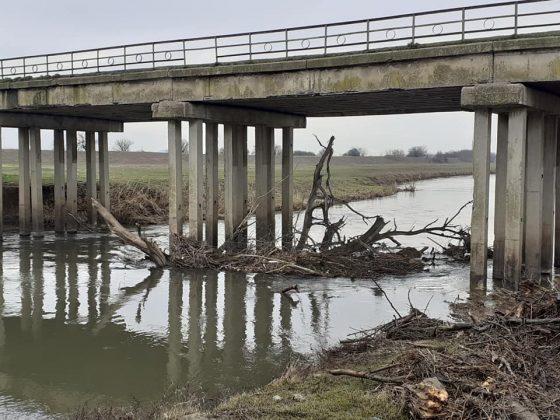 Река Тунджа при Тенево беше почистена - снимка 7