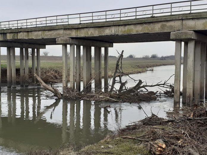 Река Тунджа при Тенево беше почистена - снимка 7