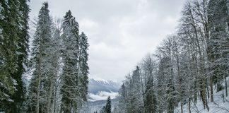 Ски курорт.