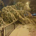 Сняг в Хасково