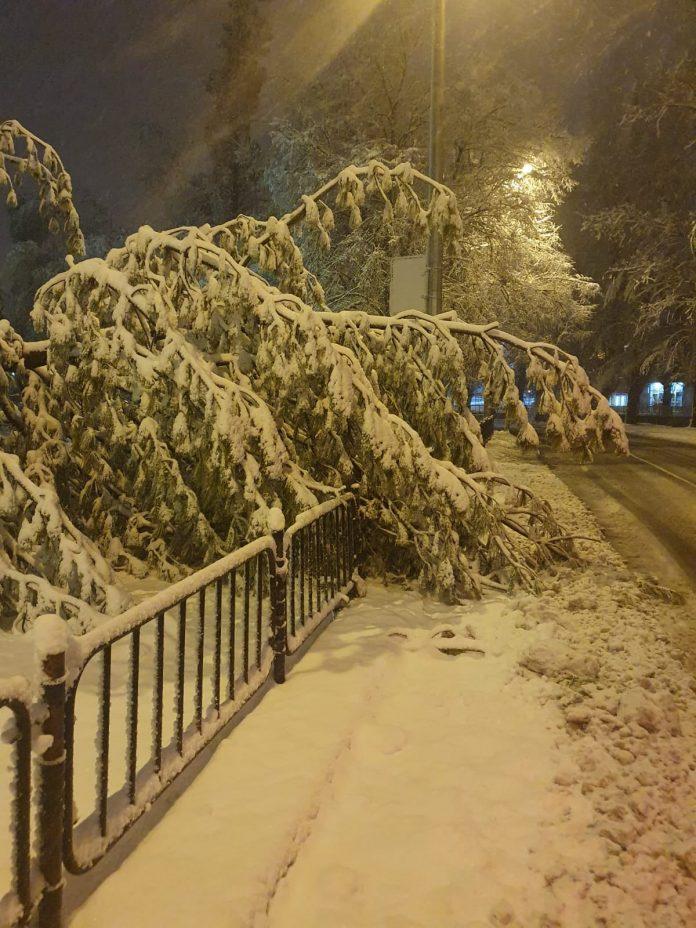 Сняг в Хасково