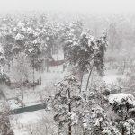 Снежна обстановка