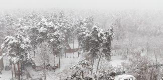 Снежна обстановка