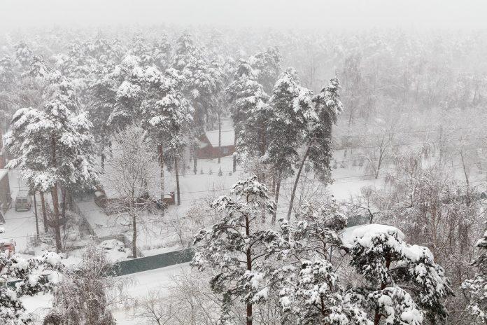 Снежна обстановка