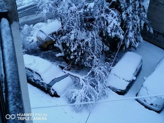 Сняг в Хасково