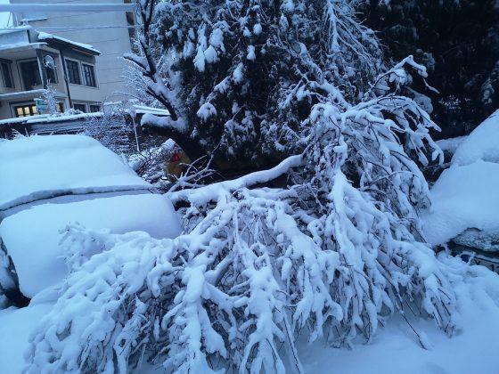 Сняг в Хасково