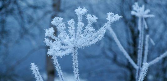 Студено време, Коледа, студ