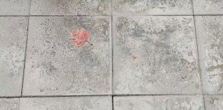 Тротоарът на булевард "Демокрация" в Бургас