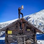 Запознайте се с лъва