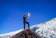 Запознайте се с лъва