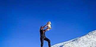 Запознайте се с лъва