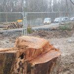 Протест срещу аутобан А49