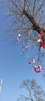 Дърво с мартенички