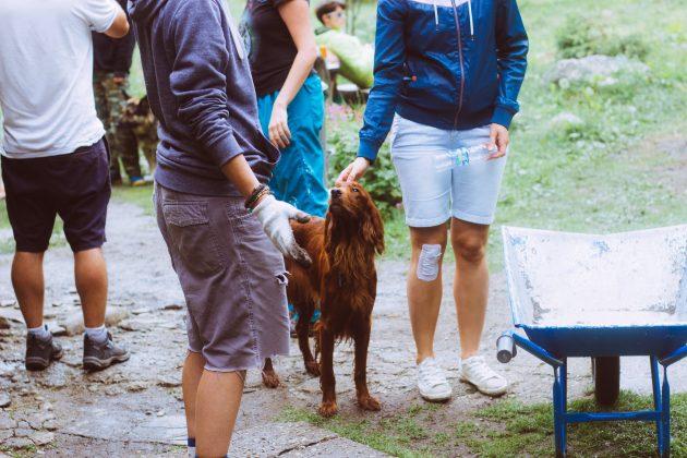 Кучешки рай