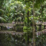 Парк в Амазонка.