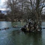 Замърсяване в река