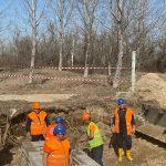 Работници в Брестовица