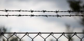 Гранична ограда