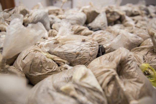 Хероин във Варна