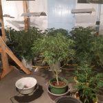 Нарколаборатория край Пазарджик