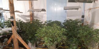 Нарколаборатория край Пазарджик