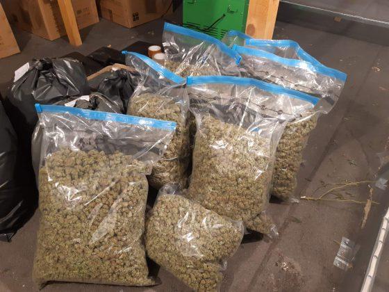 Нарколаборатория край Пазарджик