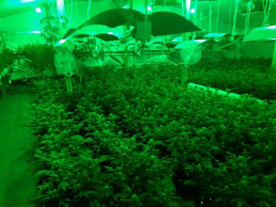 Нарколаборатория край Пазарджик