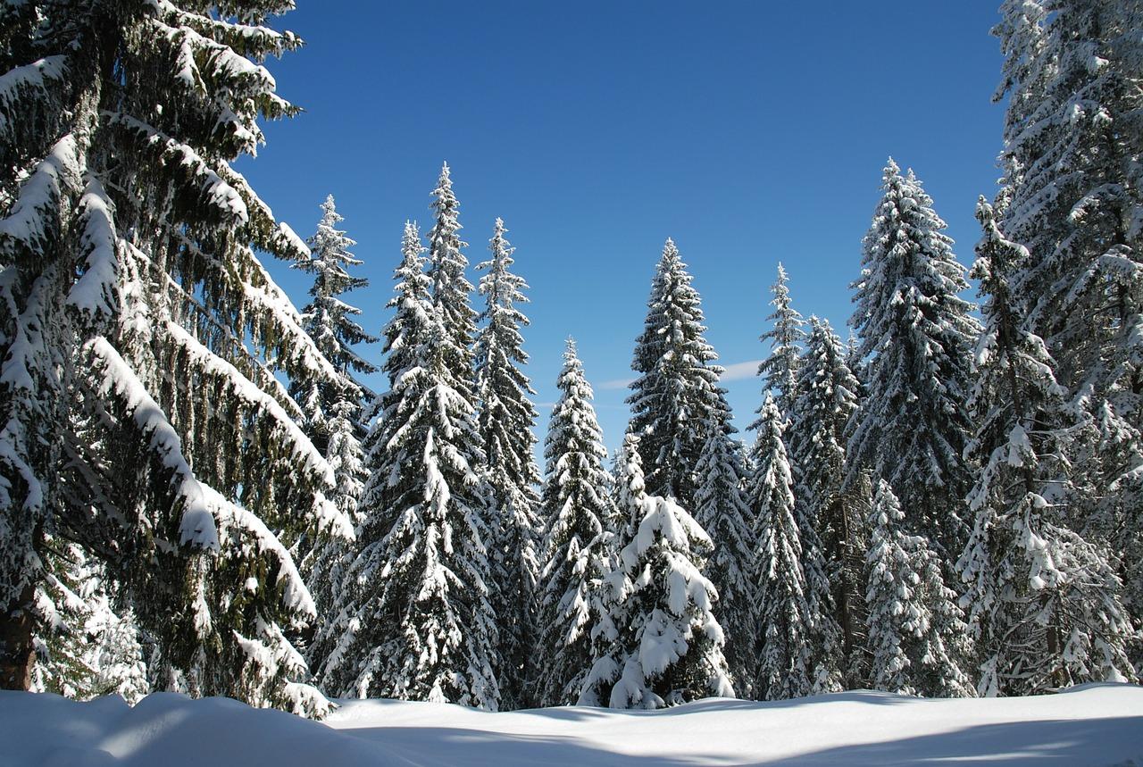 Насред зимния сезон цените в планинските ни курорти се вдигат