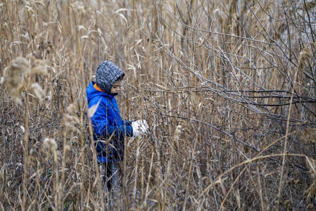 pochistvane na vaya 22