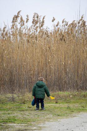 pochistvane na vaya 24